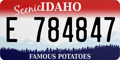 ID license plate E784847