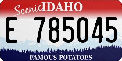 ID license plate E785045