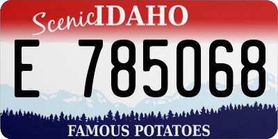 ID license plate E785068