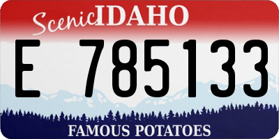 ID license plate E785133