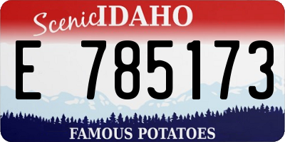 ID license plate E785173