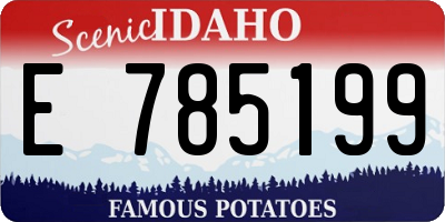 ID license plate E785199