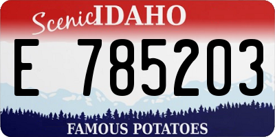ID license plate E785203