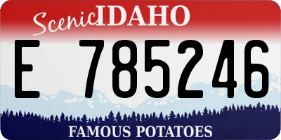 ID license plate E785246