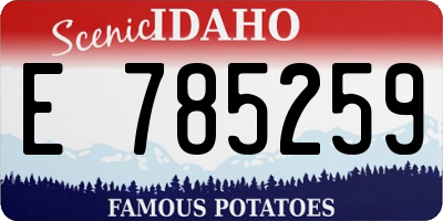 ID license plate E785259