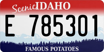 ID license plate E785301