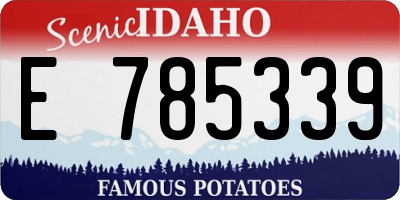 ID license plate E785339