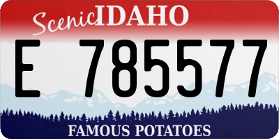 ID license plate E785577