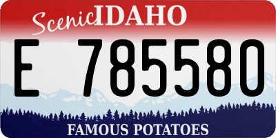 ID license plate E785580