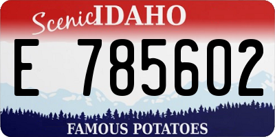 ID license plate E785602