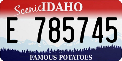 ID license plate E785745