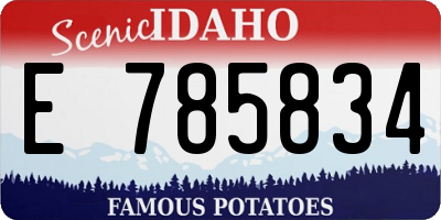 ID license plate E785834
