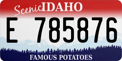 ID license plate E785876