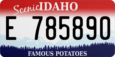ID license plate E785890