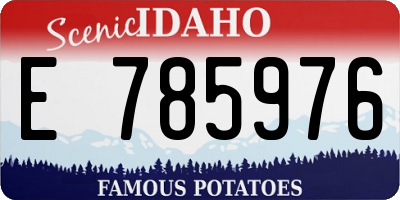 ID license plate E785976