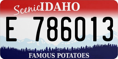 ID license plate E786013