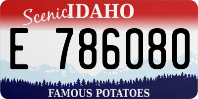 ID license plate E786080