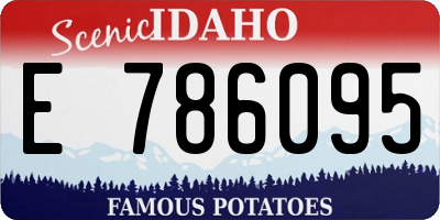 ID license plate E786095