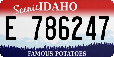 ID license plate E786247