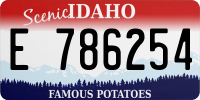 ID license plate E786254