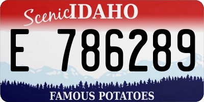 ID license plate E786289