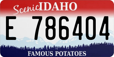ID license plate E786404