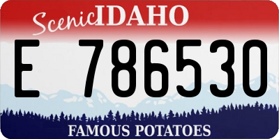 ID license plate E786530