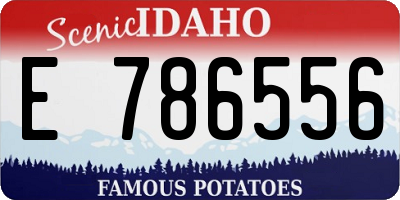 ID license plate E786556
