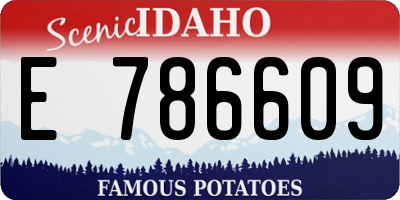 ID license plate E786609