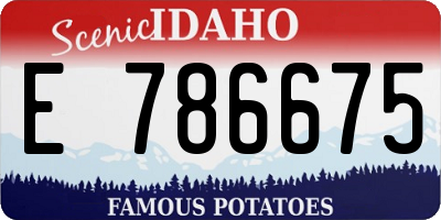 ID license plate E786675