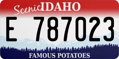 ID license plate E787023