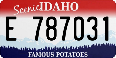ID license plate E787031