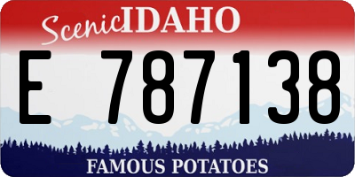 ID license plate E787138