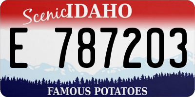 ID license plate E787203