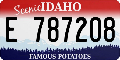 ID license plate E787208