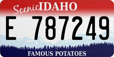 ID license plate E787249
