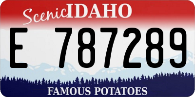 ID license plate E787289