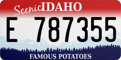 ID license plate E787355