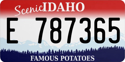ID license plate E787365