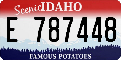 ID license plate E787448