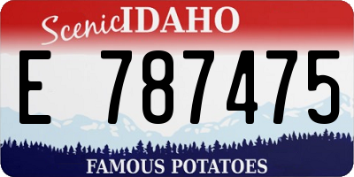 ID license plate E787475