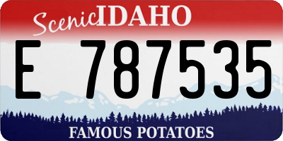 ID license plate E787535