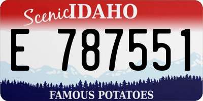 ID license plate E787551