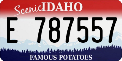 ID license plate E787557