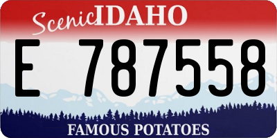 ID license plate E787558