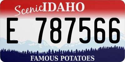 ID license plate E787566
