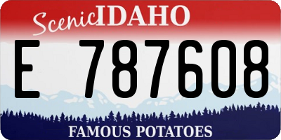 ID license plate E787608