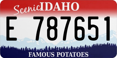 ID license plate E787651