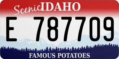 ID license plate E787709
