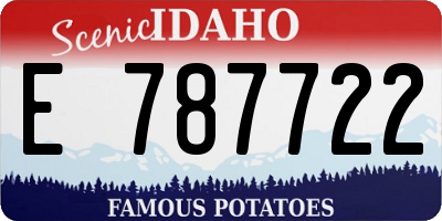 ID license plate E787722